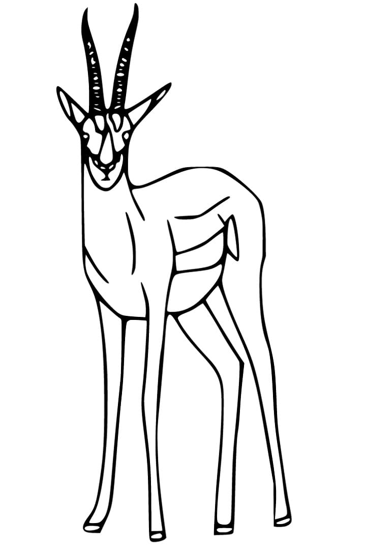 Antelope 5 Coloring Page