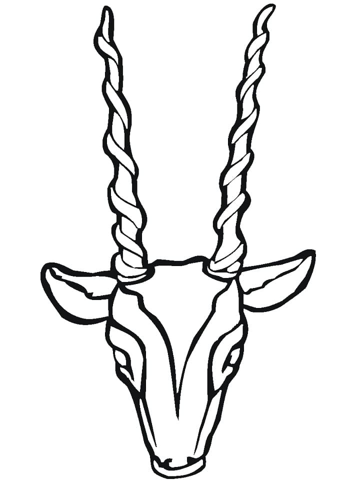 Antelope Head Coloring Page
