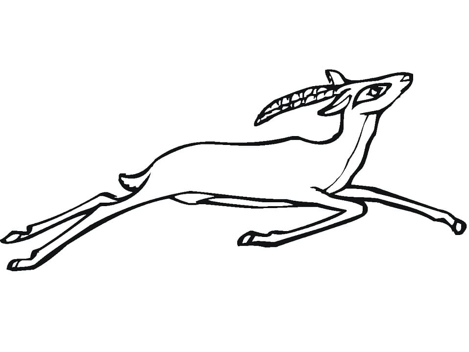 Antelope Jumps Coloring Page