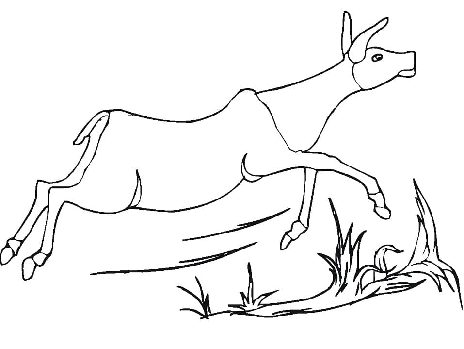 Antelope Runs Coloring Page