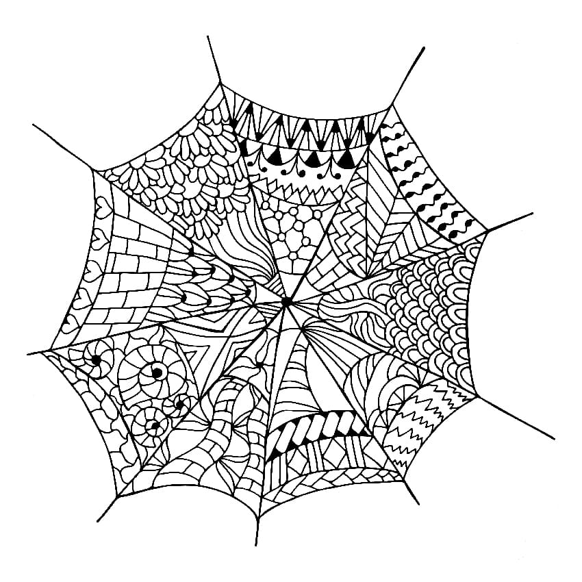 Anti Stress Spider Web
