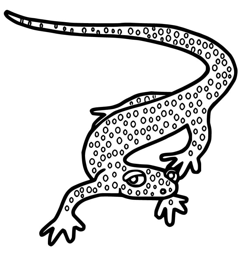 Appalachian Salamander