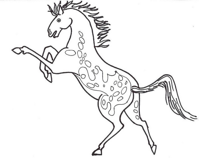 Appaloosa Horse Sc509 Coloring Page