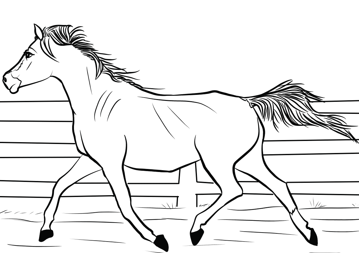 Arab Horse Coloring Page