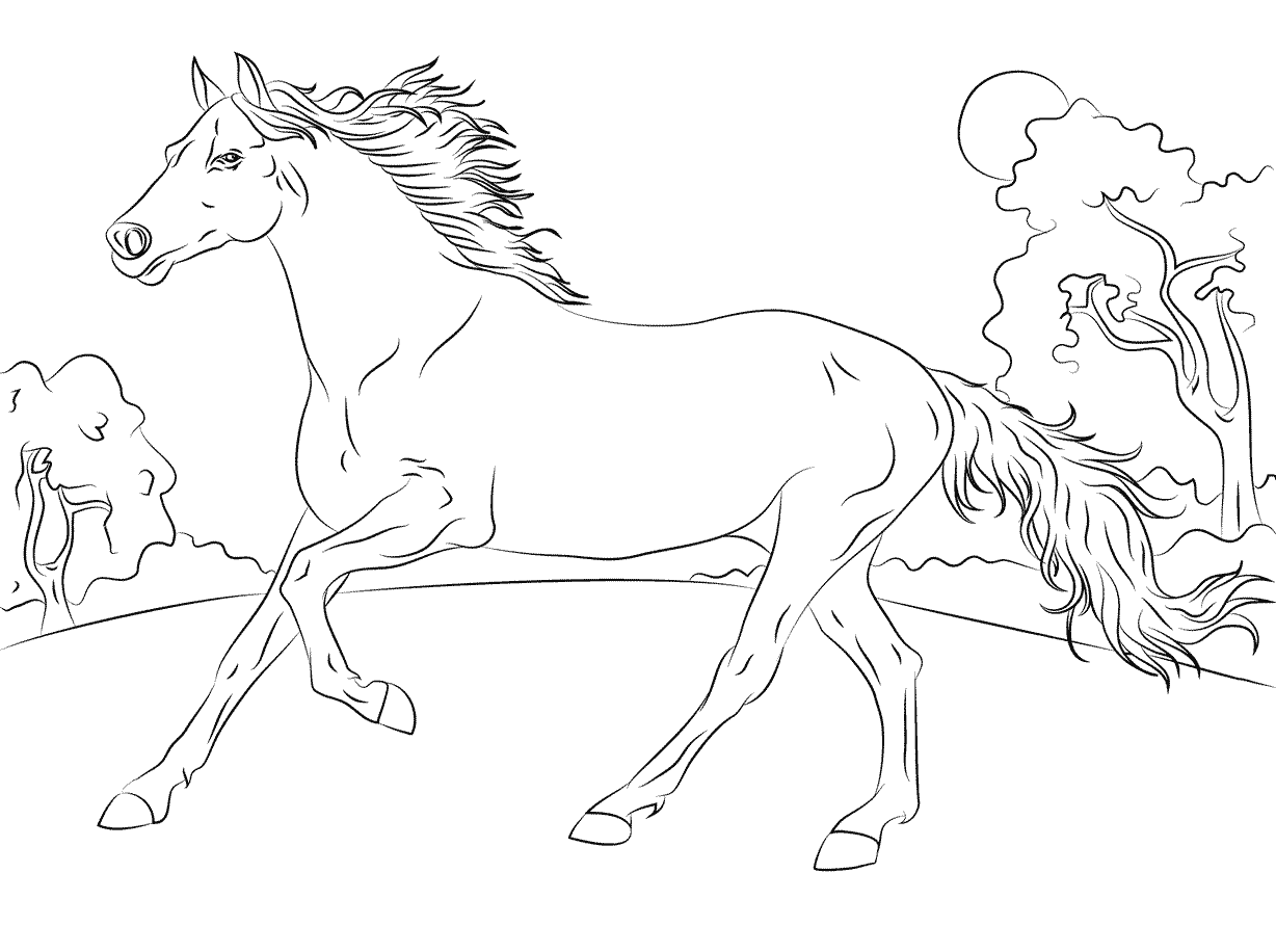 Arabian Horse Coloring Page