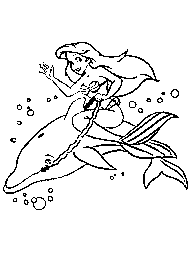Ariel And A Dolphin Disney Princess S E14493882866483e4b