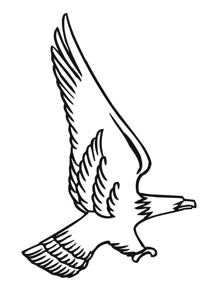 Attacking Bald Eagle Coloring Page