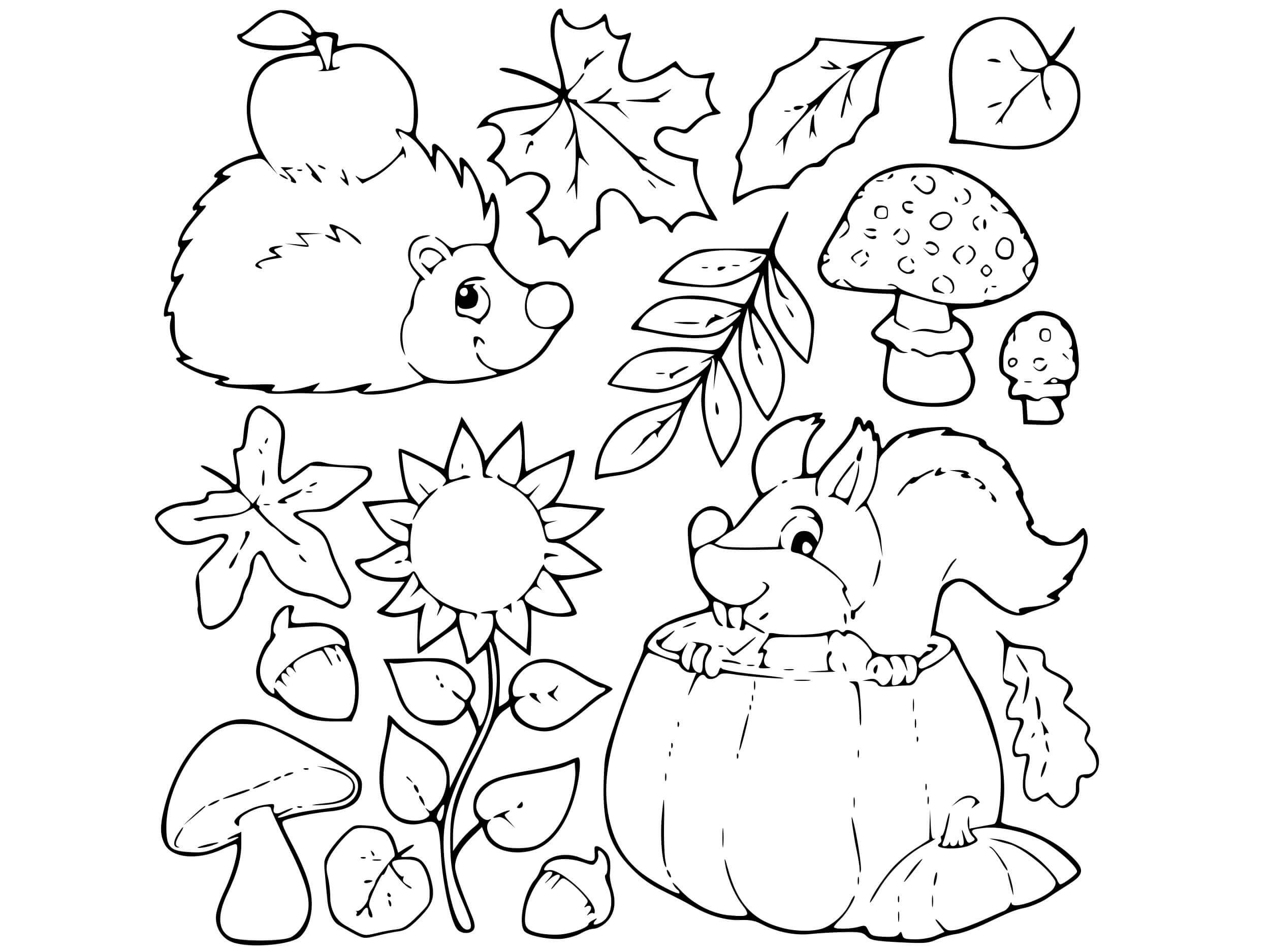 Autumn Apples Squirrel Hedgehog Coloring Page