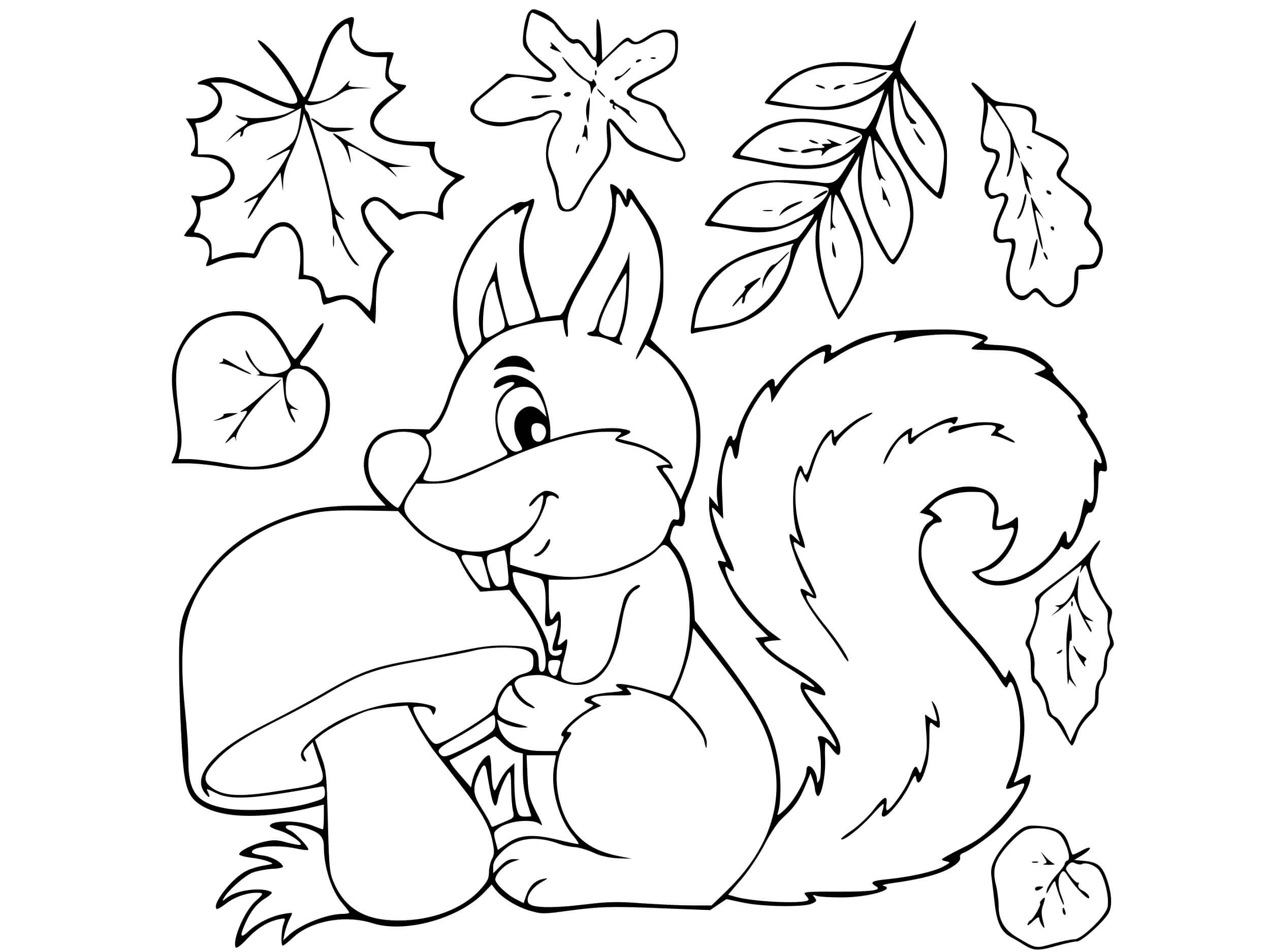 Autumn Leaves Squirrel Coloring Page