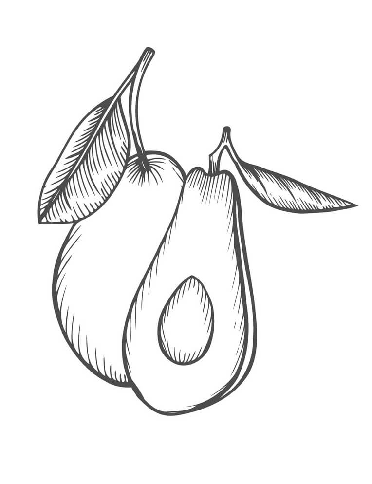 Avocado And A Half For Us Coloring Page