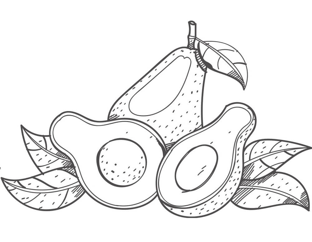 Three Avocados Fruit Coloring Page