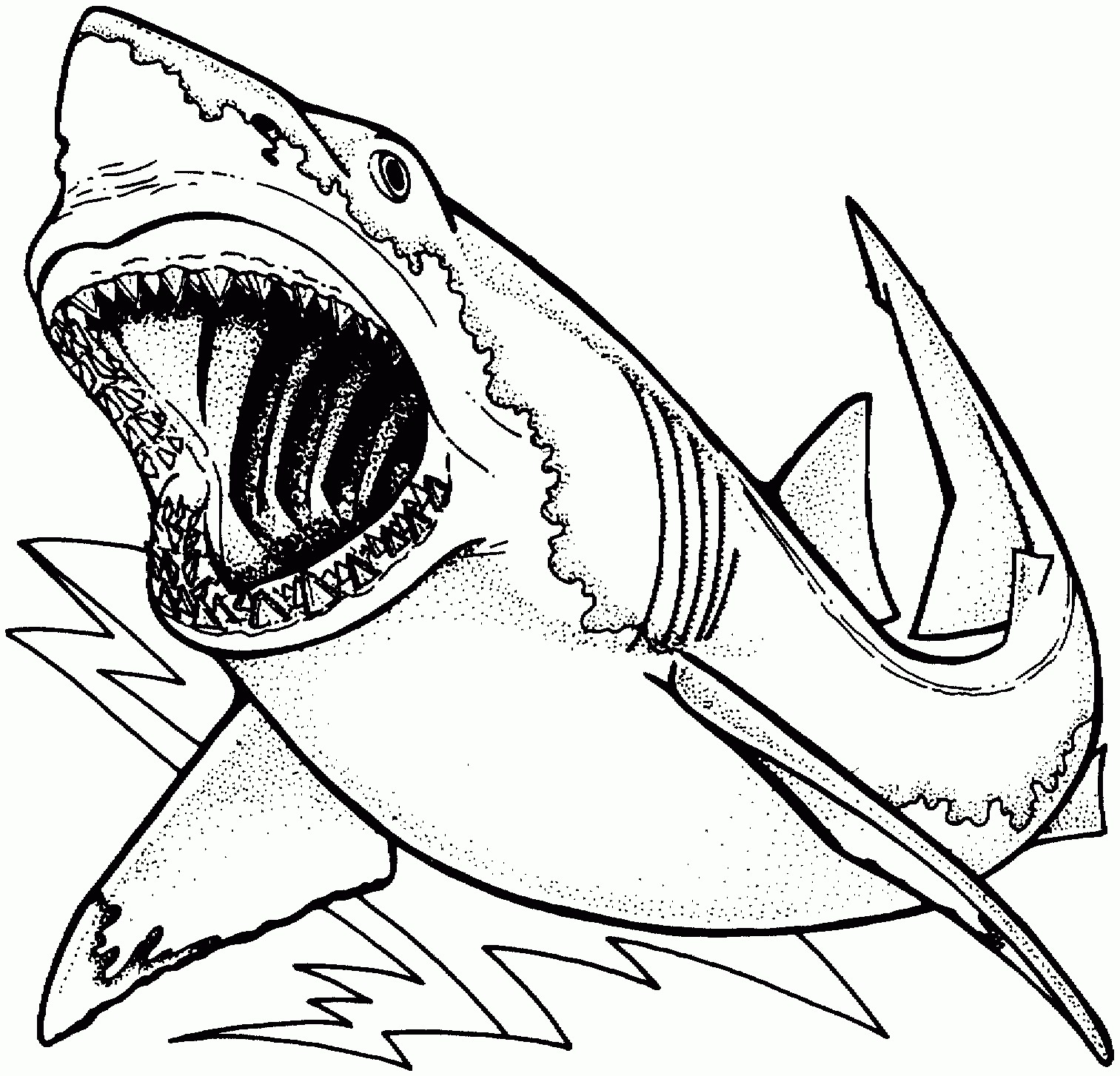 Awesome Great White Shark Coloring Page