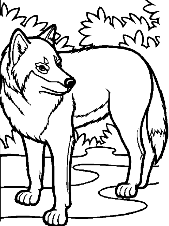 Awesome Wolf Coloring Page
