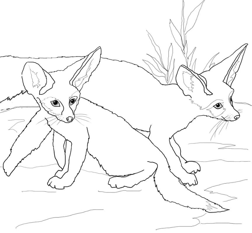 Babies Fennec Foxes Coloring Page