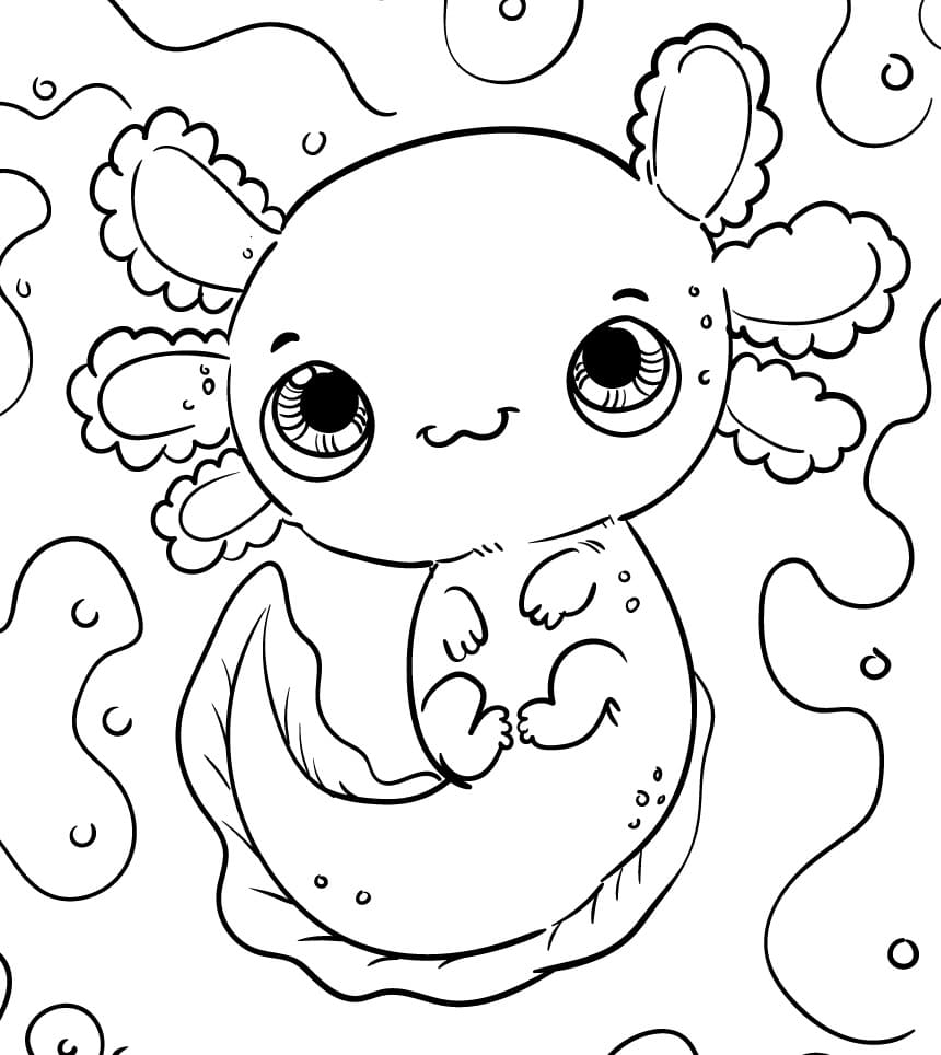 Baby Cute Axolotl