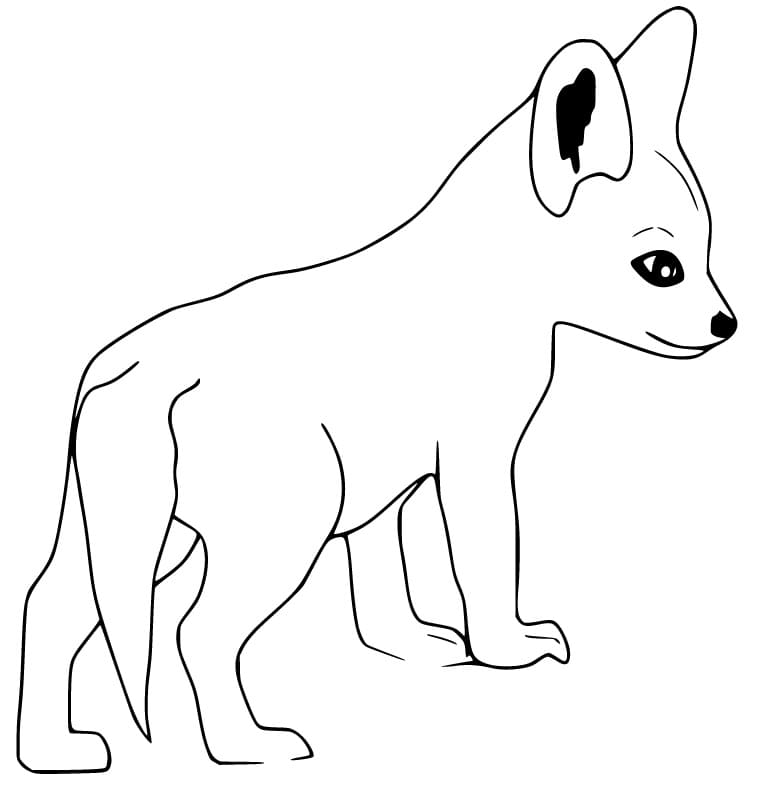 Baby Fennec Fox Coloring Page