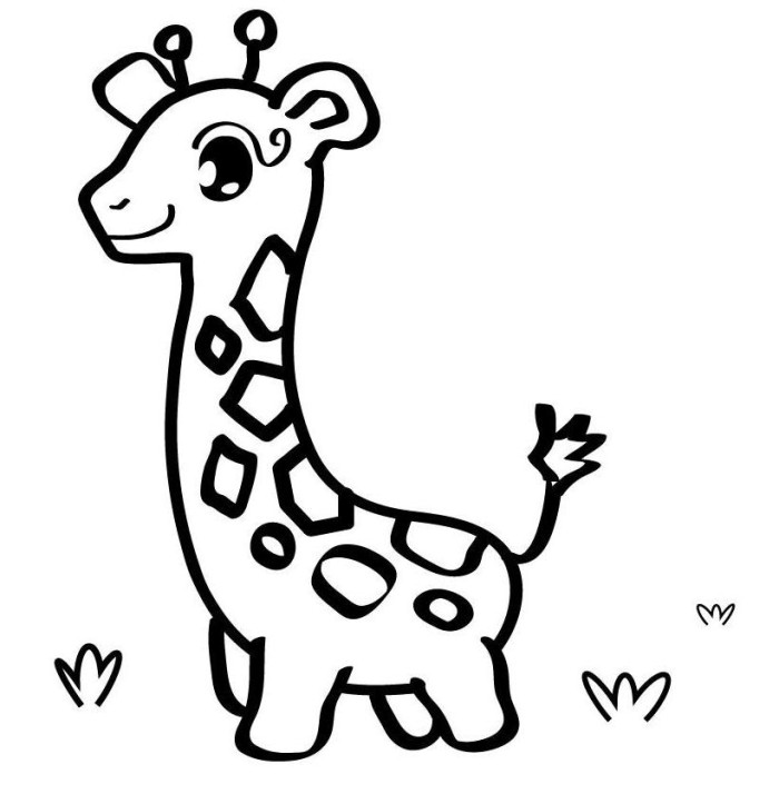 Baby Giraffe Free S Of Animalse640