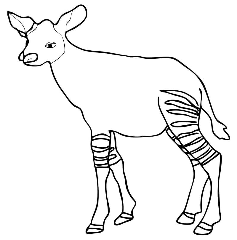 Baby Okapi Coloring Page