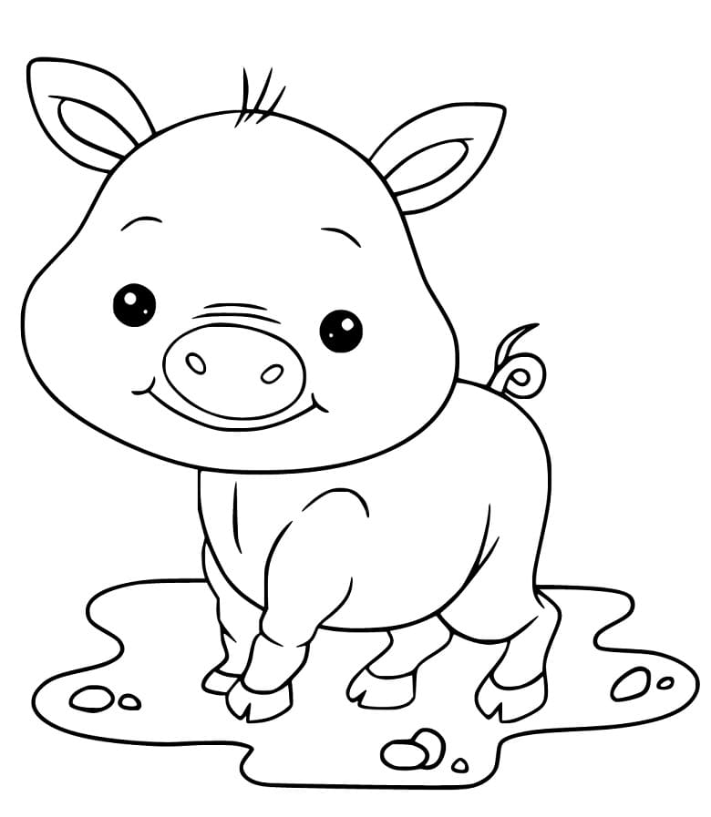 Baby Pig Coloring Online For Us
