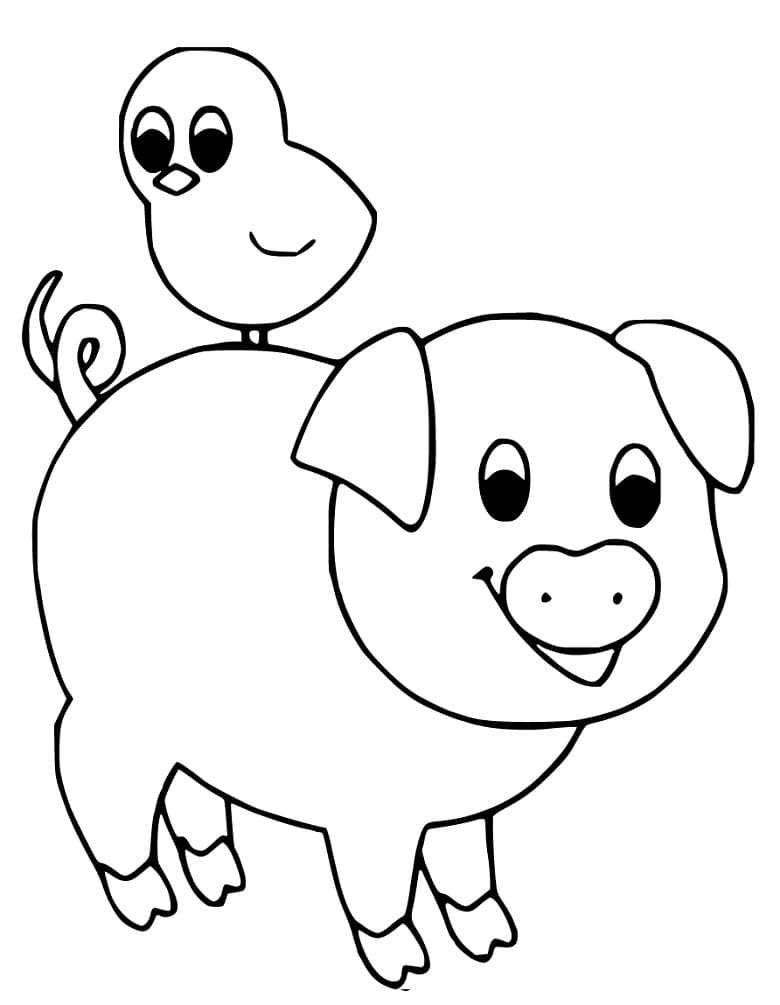 Baby Pig And Chicken Coloring Page
