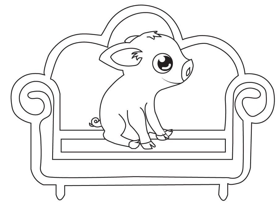 Baby Pig on a Couch