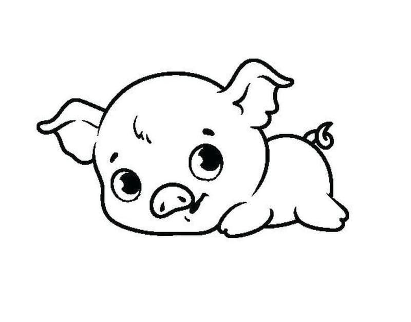 Baby Pig on Ground Coloring Page