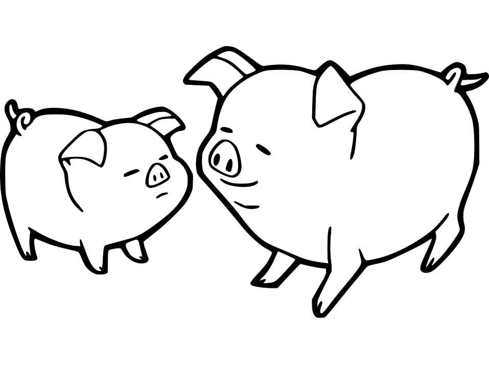 Baby Pigs