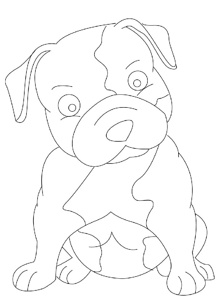 Baby Pitbull Dog Coloring Page