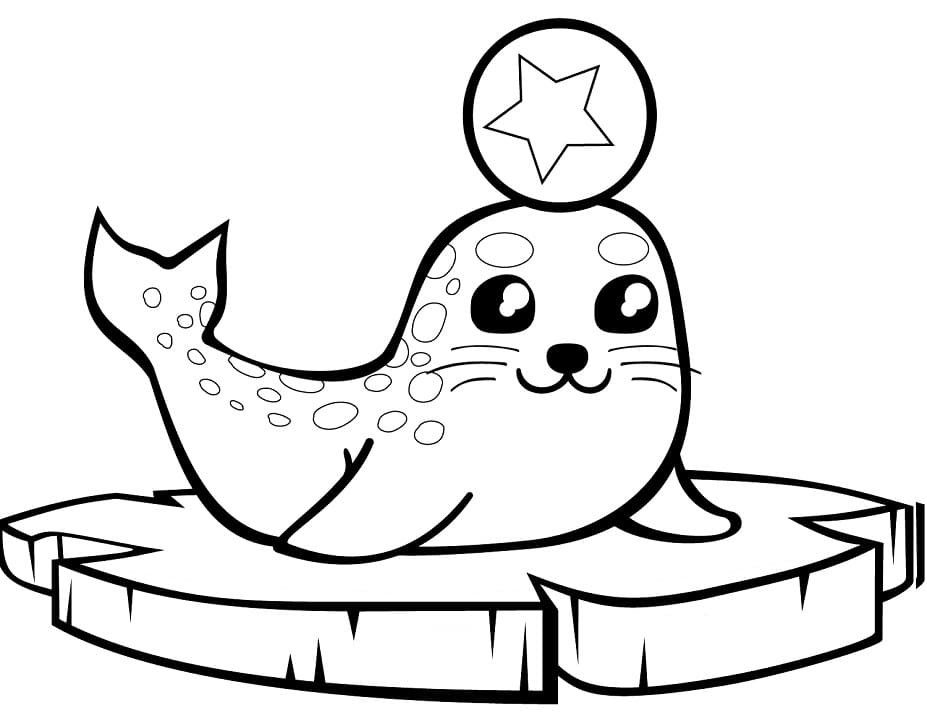Baby Seal with a Ball Coloring Page