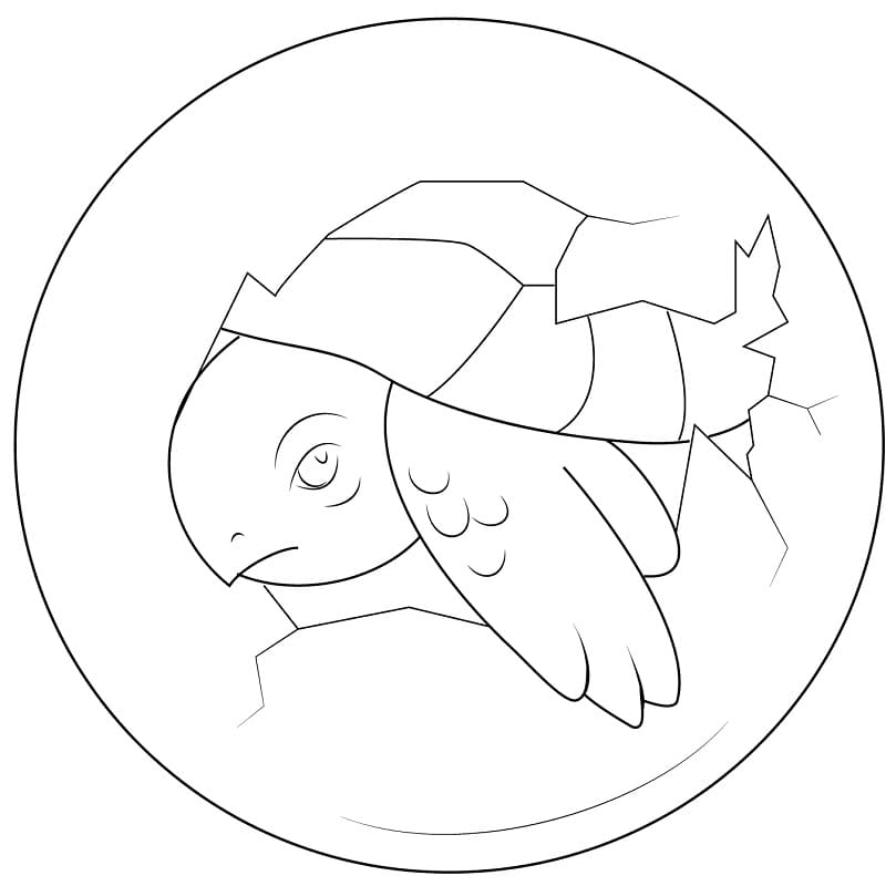 Baby Turtle Hatching from Egg Coloring Page