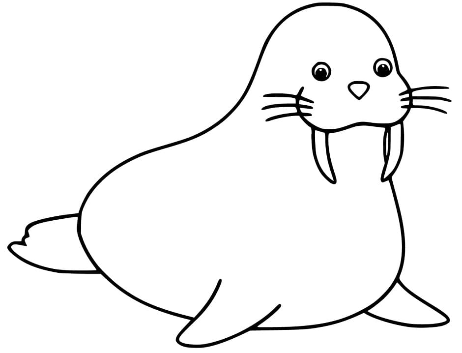 Baby Walrus Coloring Page