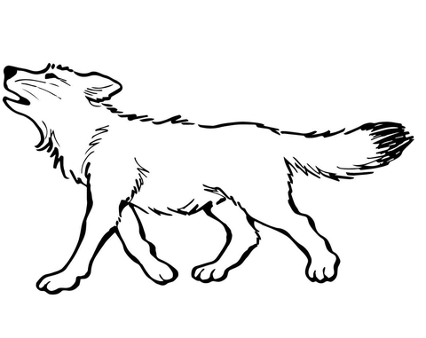 Baby Wolf Coloring Page