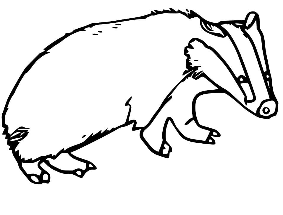Badger 1 Coloring Page
