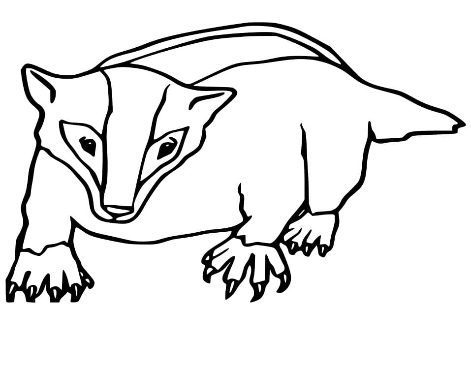 Badger 2 Coloring Page