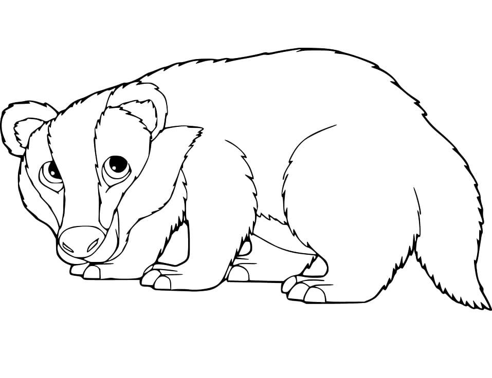 Badger 4 Coloring Page