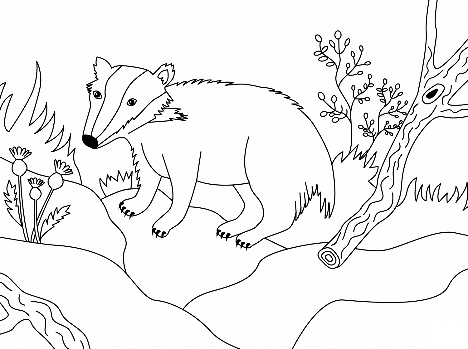 Badger Animal Simple Coloring Page
