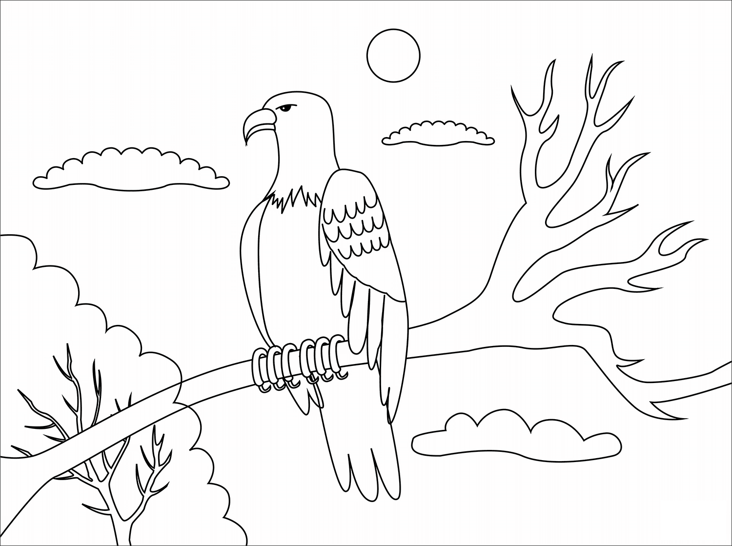Bald Eagle Animal Simple Coloring Page