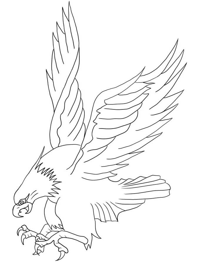 Bald Eagle Attacking Coloring Page