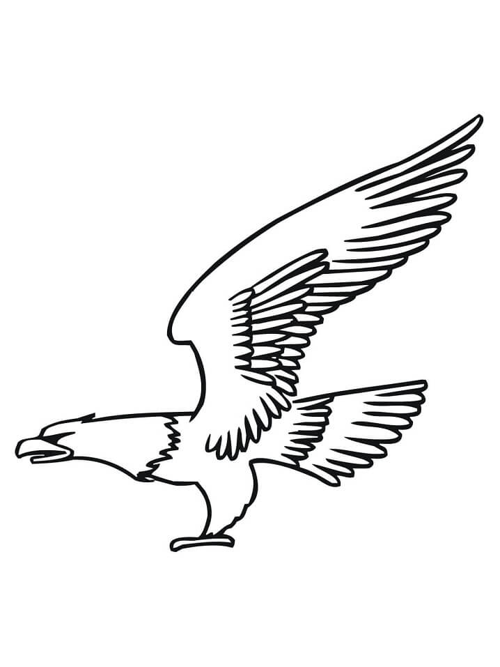 Bald Eagle Fly Coloring Page