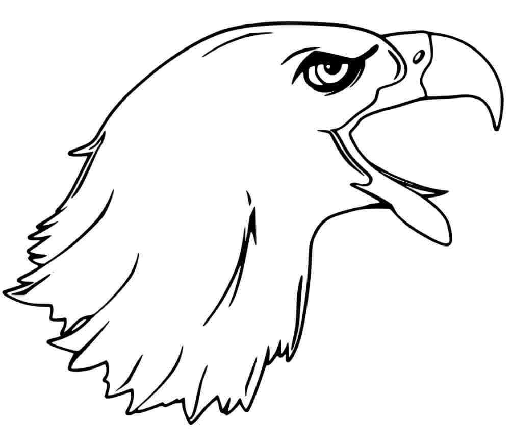 Bald Eagle Head Coloring Page