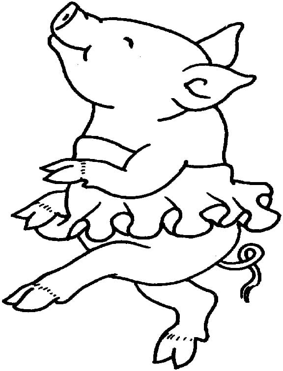 Ballet Pig