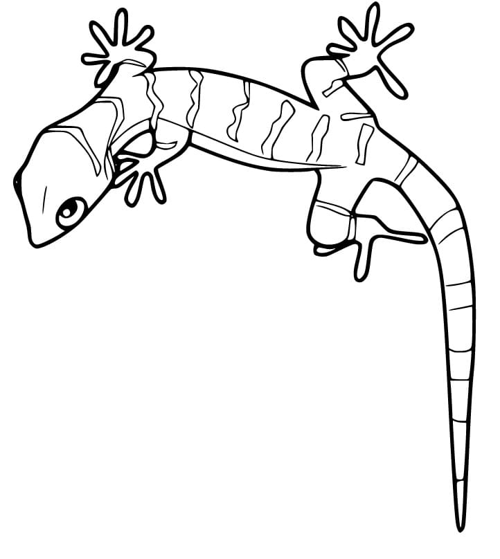 Banded Gecko Coloring Page