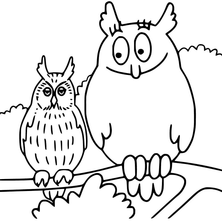 Barbabravo Owl Coloring Page