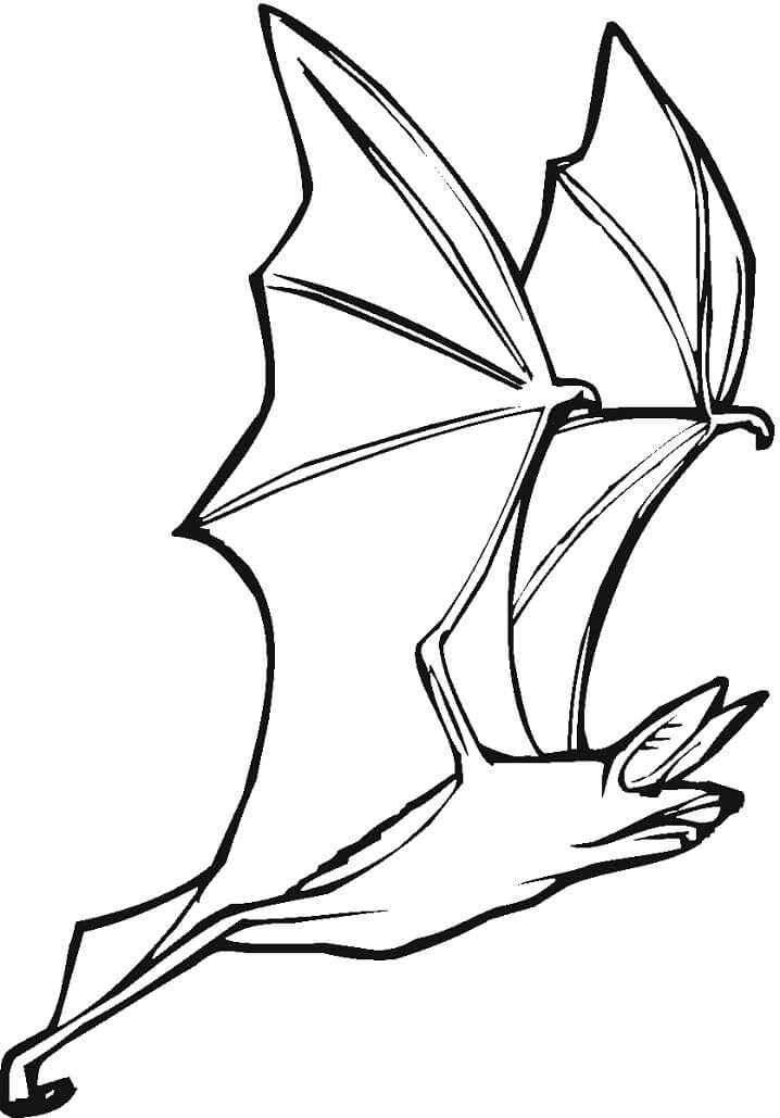 Bat is Flying Coloring Page