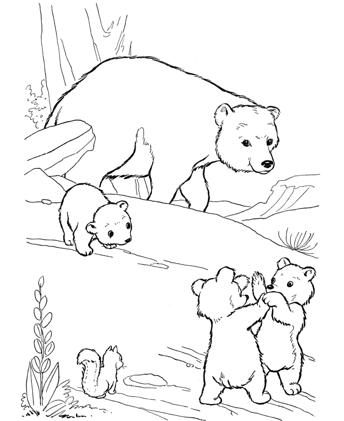Bears S Printable Animalsb11b