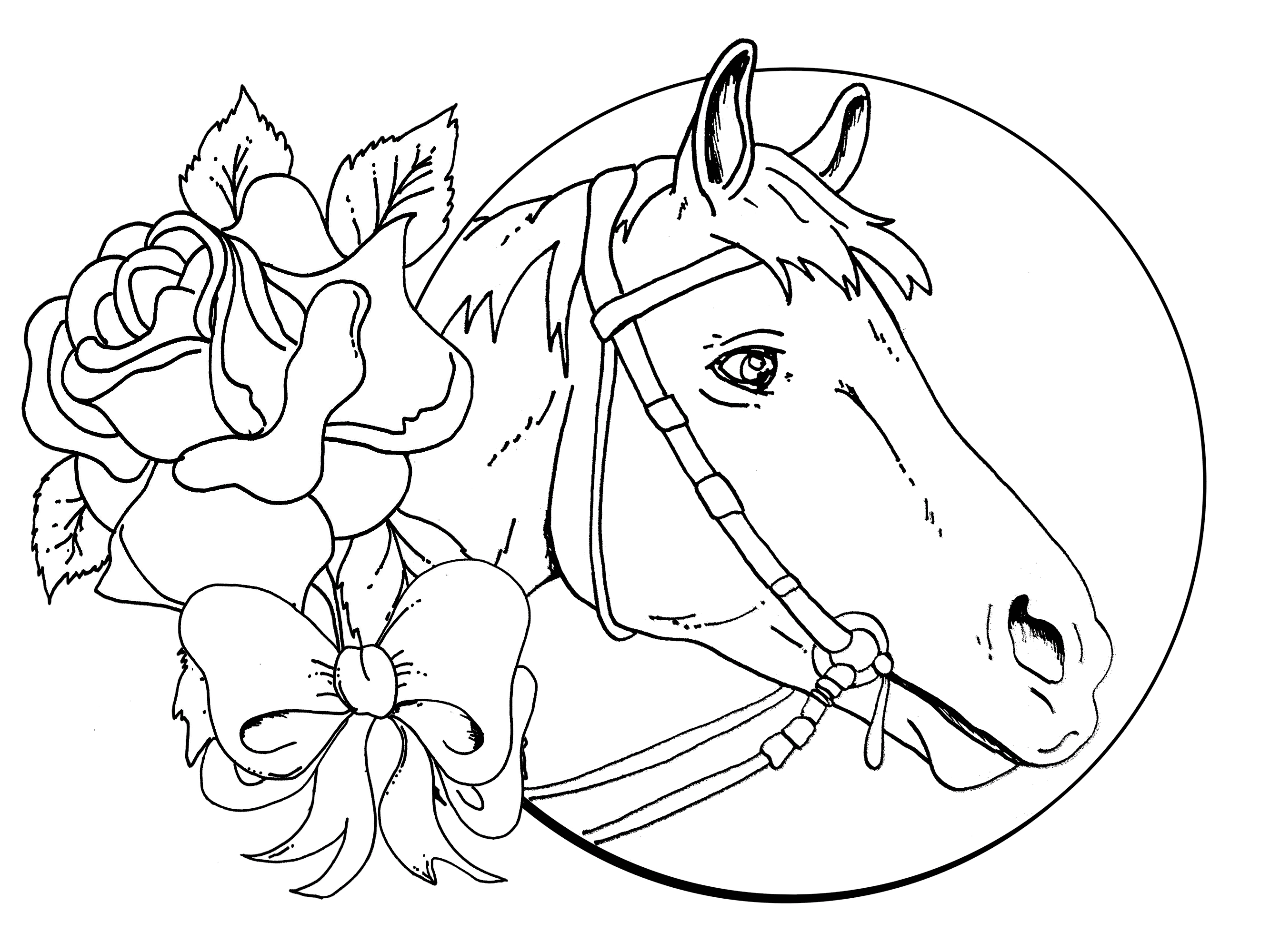 Horse Coloring Pages   Coloring Cool