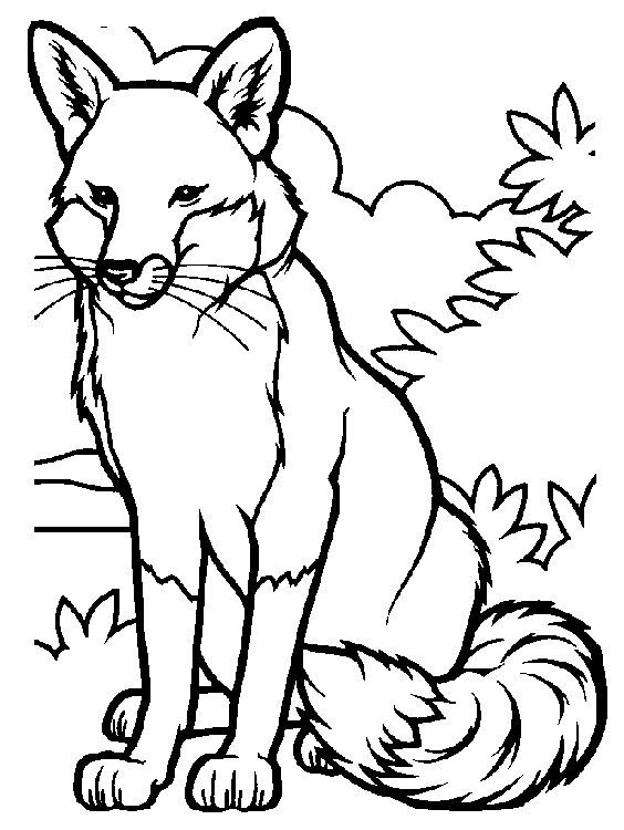 Beautiful Red Fox Coloring Page