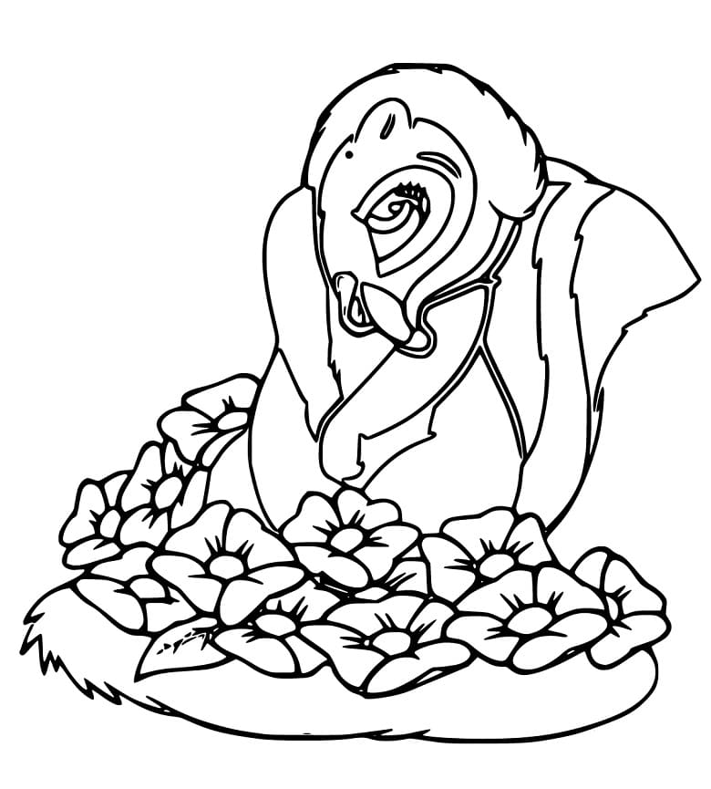 Beautiful Skunk Coloring Page