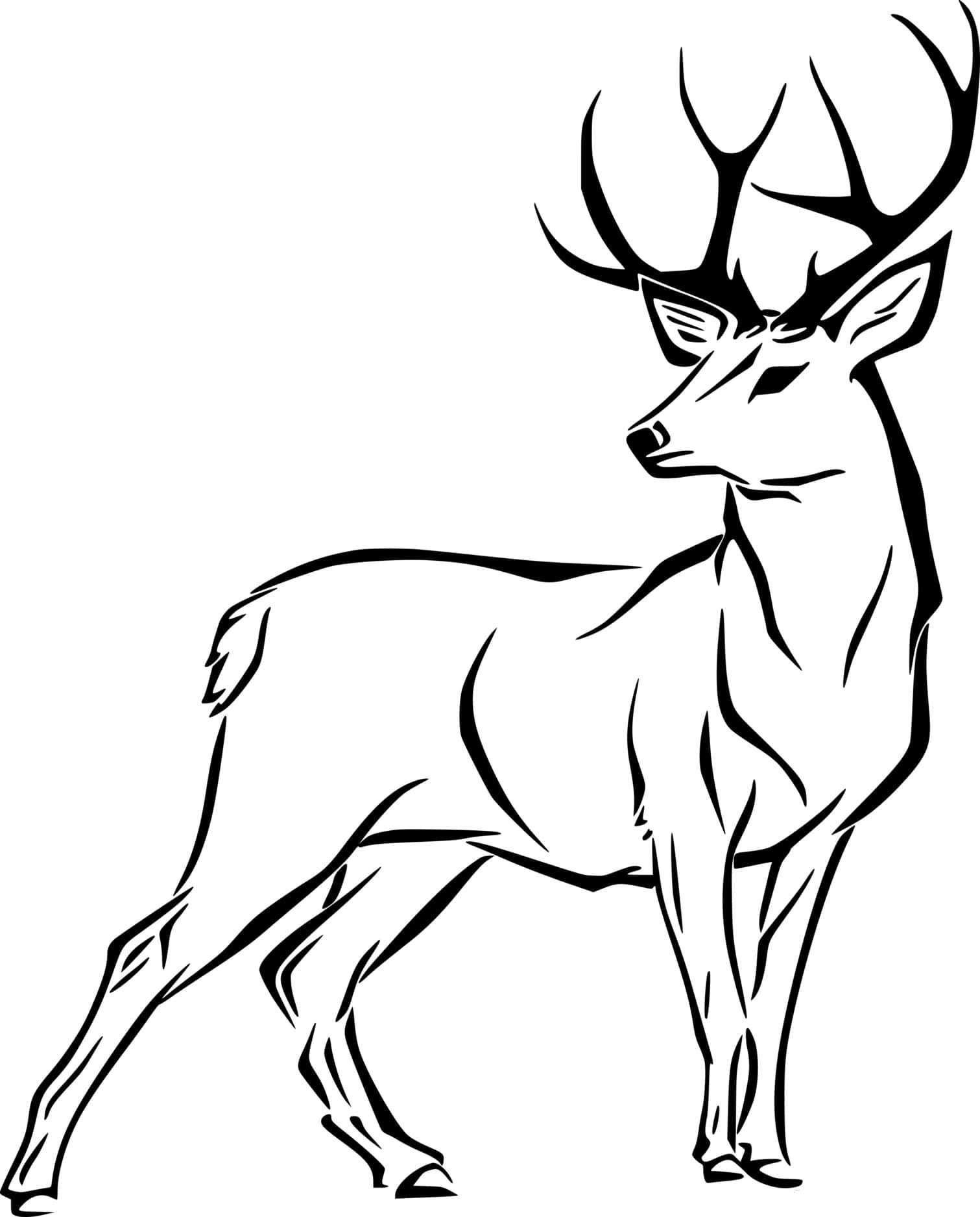 Beautiful Whitetail Coloring Page
