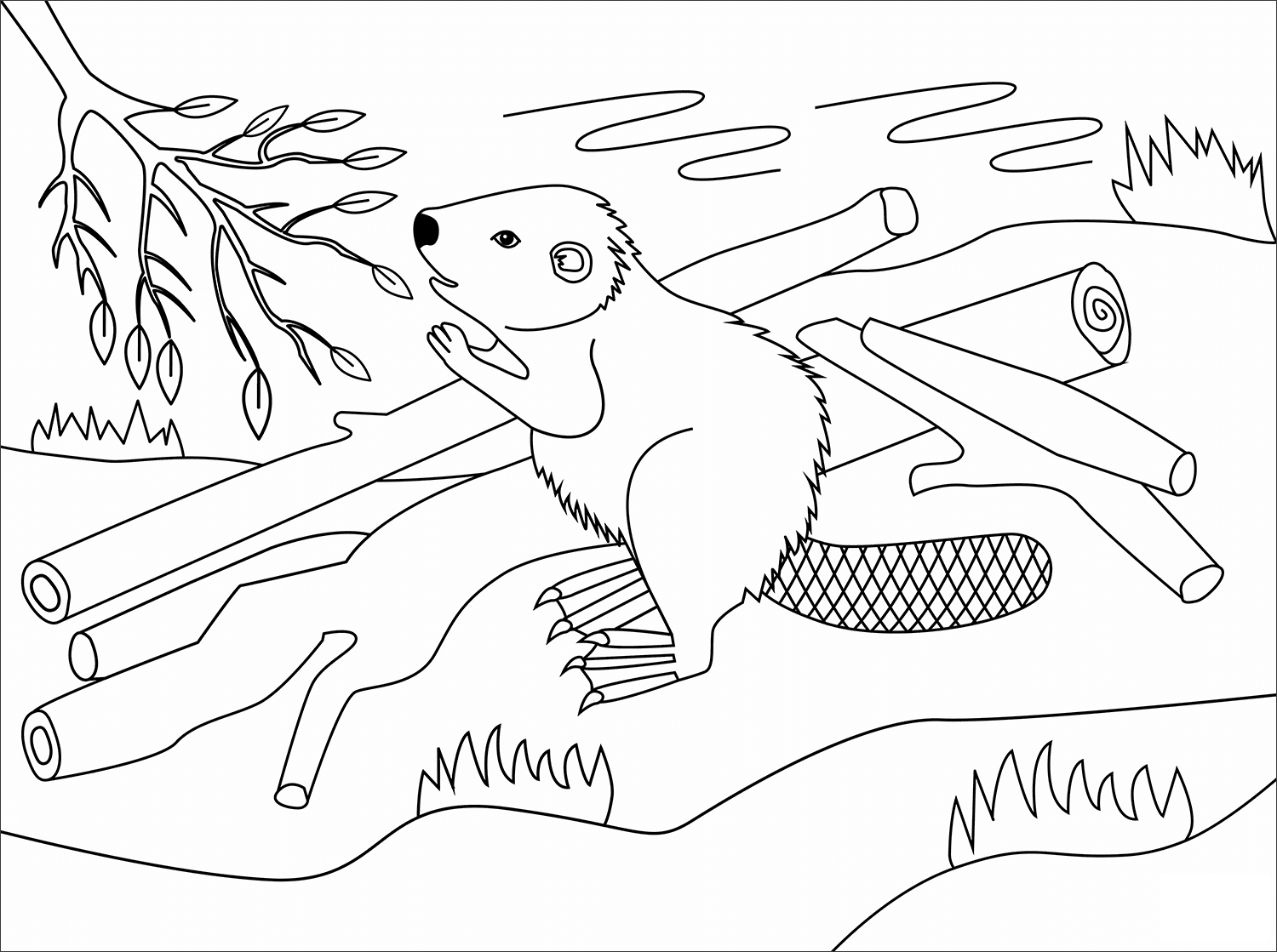 Beaver Animal Simple Coloring Page